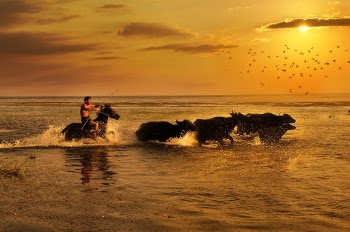 Man Riding Horse in Water