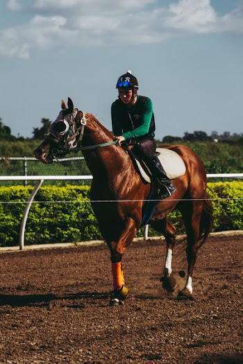Man Riding Horse Under Sunny Sky