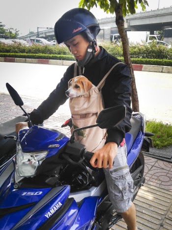 Man Riding Motorcycle While Carrying Dog