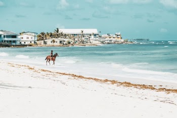 Man Riding On A Horse 