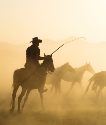 Man Riding on a Horse