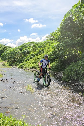 Man Riding on Bicycle