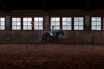 Man Riding on Horse in Front of Window