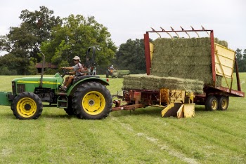 Man Riding On Riding Mower Carrying Hays In The Middle Of Field