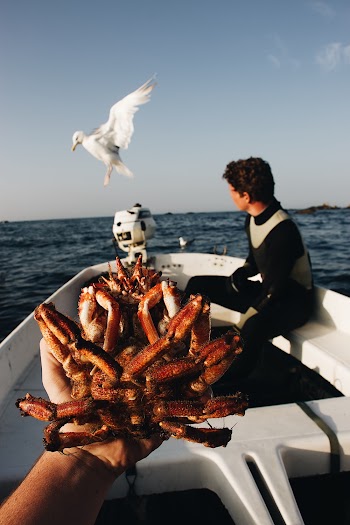 Man Riding on the Speedboat