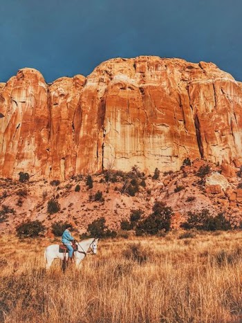 man riding white horse near mountain