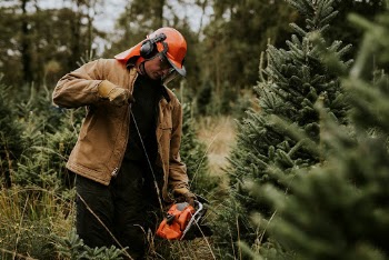 Man sawing a Christmas tree | Free Photo - rawpixel
