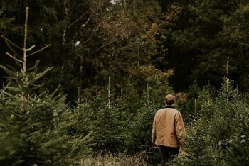 Man shopping for the perfect | Free Photo - rawpixel