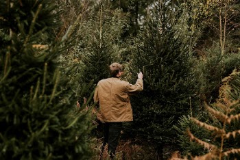 Man shopping for the perfect | Free Photo - rawpixel