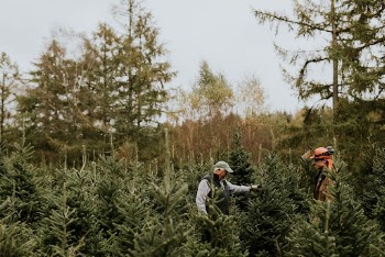 Man showing how he trim | Free Photo - rawpixel