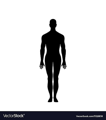 Man Silhouette Isolated Royalty Free Vector Image