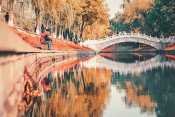 Man Sitting By The River