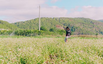 Man Sitting in the Middle of Grass Field