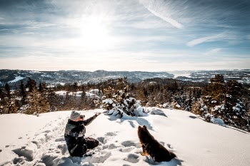 Man sitting near a dog Holding a Camera While Taking Picture of the Landscape