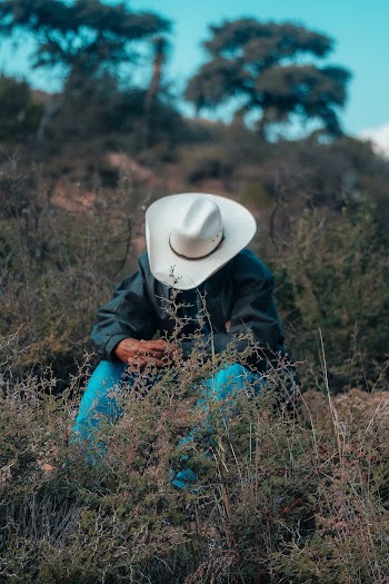 Man Sitting Near Grass Field