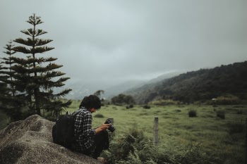 Man Sitting Near Pine Tree Under Cloudy Sky