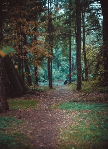 Man Sitting Near Trees
