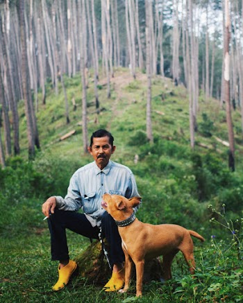 Man Sitting On A Rock With His Dog In The Woods