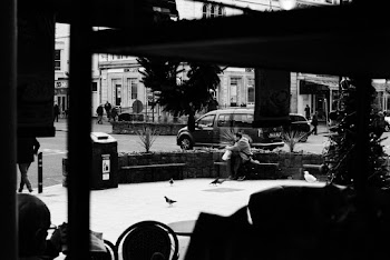 Man Sitting on Bench