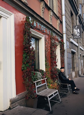 Man Sitting on Bench