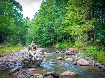 Man Sitting on Brown Stone Near Green Leafed Trees