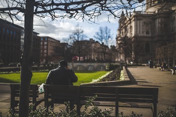 Man Sitting on Brown Wooden Bench during Daytime