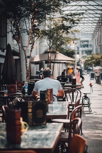 man sitting on chair near tree