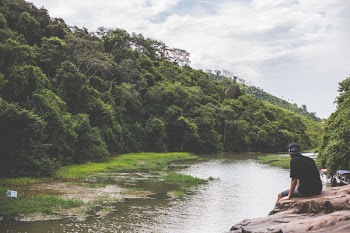 Man Sitting on Hill Looking at the Forest