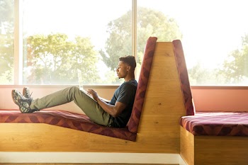 Man Sitting on Maroon and Brown Fabric Padded Sofa Using Laptop Beside Glass Window