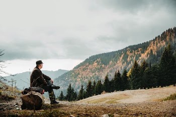 man sitting on rock facing forest