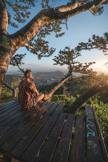 Man Sitting on Tree House