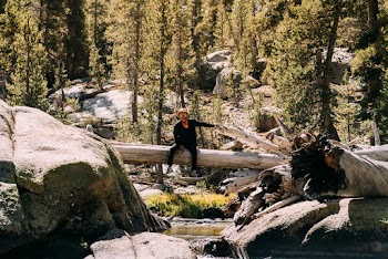 Man Sitting On Tree Log