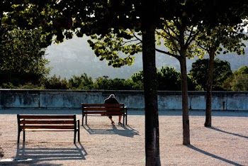 Man Sitting on Wooden Bench Near Tree
