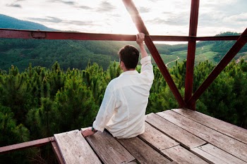 Man Sitting on Wooden Surface Looking at Trees