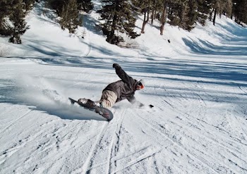 man snowboarding near green trees during daytime