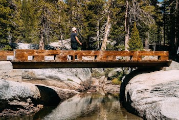 Man standig on Brown Bridge Near Green-leafed Trees