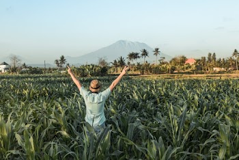 Man Standing at Middle of Cornfield