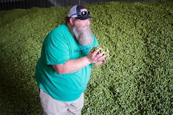 Man Standing Beside Pile of Green Fruit