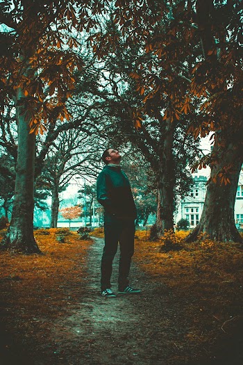 Man Standing Beside Trees