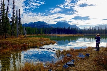 Man Standing in Front of Body of Water and Pine Tree