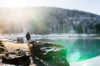 man standing in front of body of water near pine trees