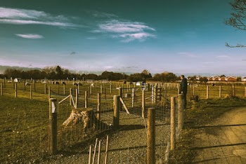 Man Standing in Front of Fences