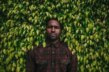 man standing in front of leafed plant