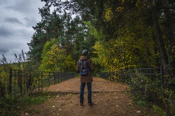Man Standing in Front of Trees