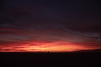 Man standing in sunset on Venice beach.