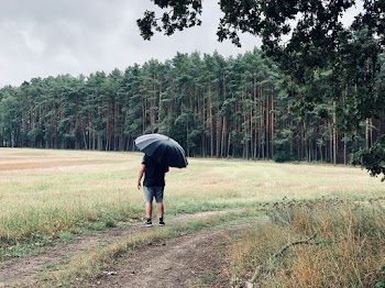 Man Standing Near Open Field While Holding Umbrella