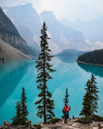 Man Standing Near Pine Trees Near Body of Water