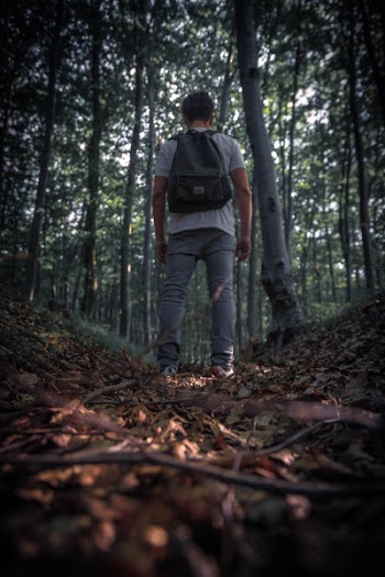Man Standing Near Trees