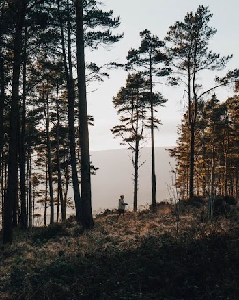 man standing near trees and mountain during daytime