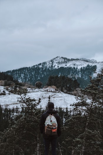 Man Standing on Cliff Near Trees